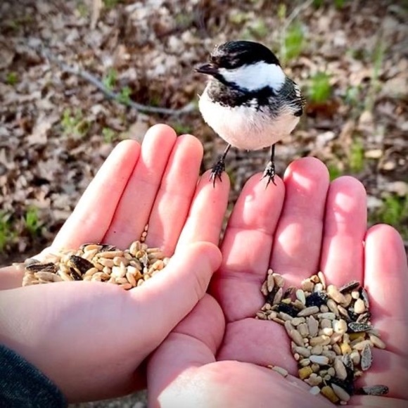 Meet your Posher, Jim - Picture 1 of 1
